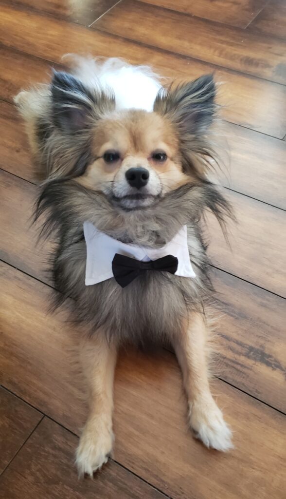 DEUIL et Acceptation.