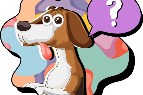 Réponses à vos questions ! questionnement chiens