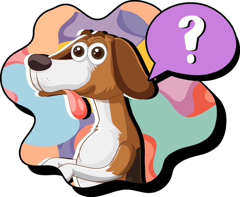 questionnement chiens