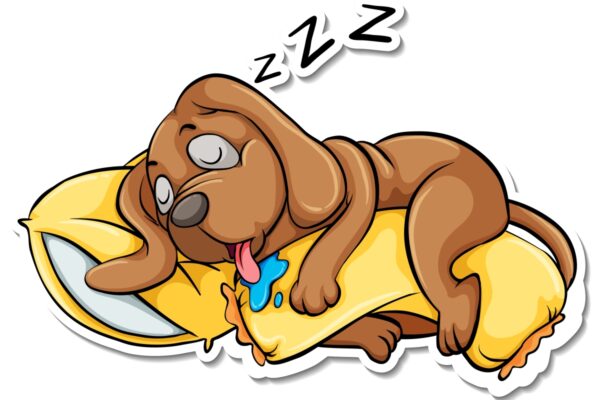 chien qui dort