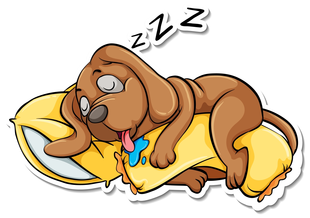 chien qui dort