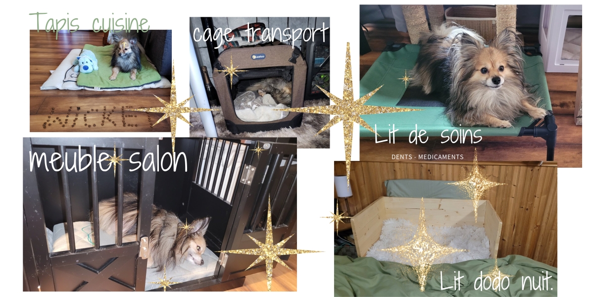 lits, tapis, cages.