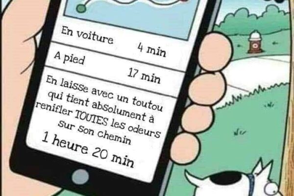 Marche au pied… ou pas !