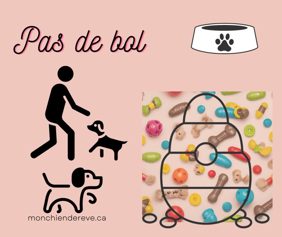 jouets interactif chien