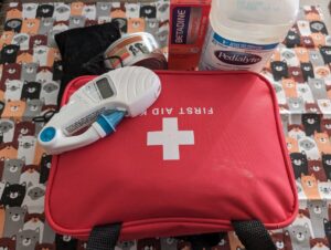 trousse de premier soin