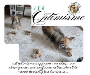 jeu de choix