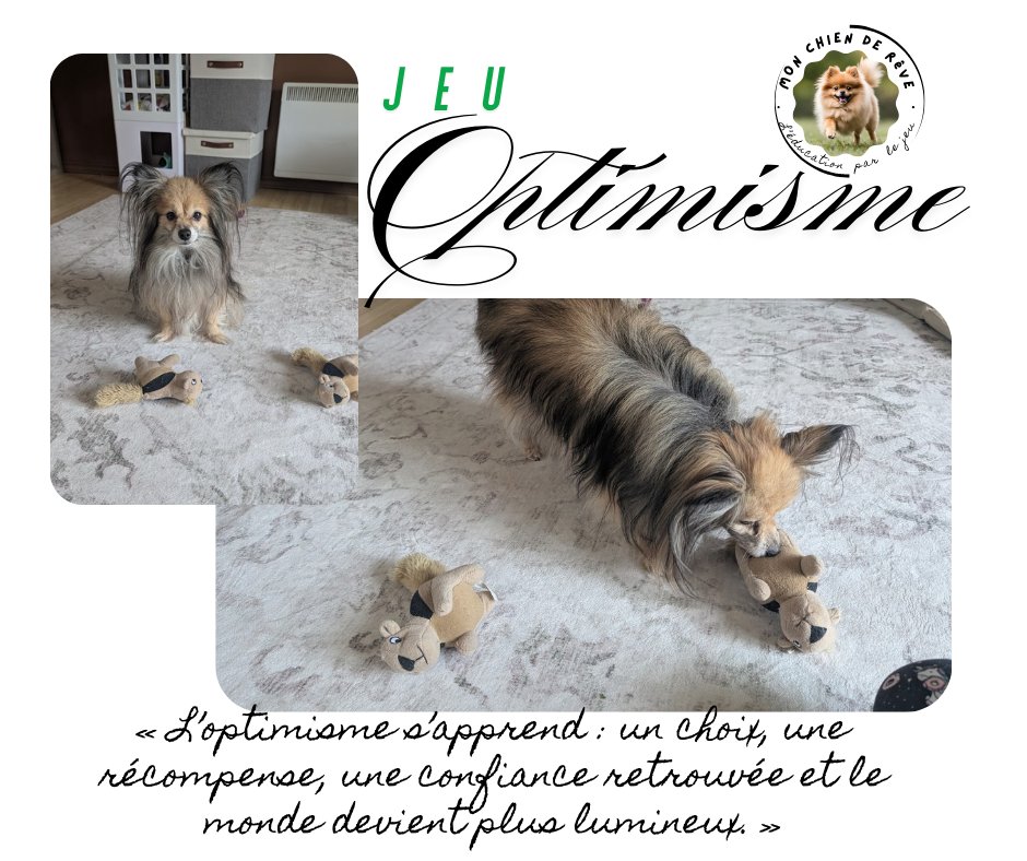 jeu de choix