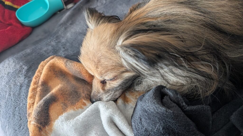 1. Le jour où tout a changé