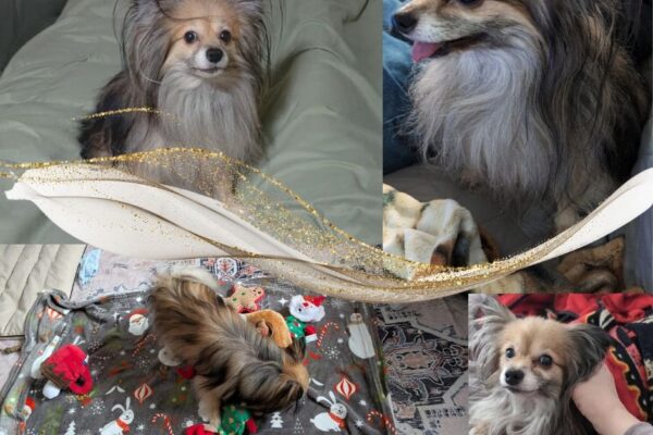 les bons et les mauvais jours