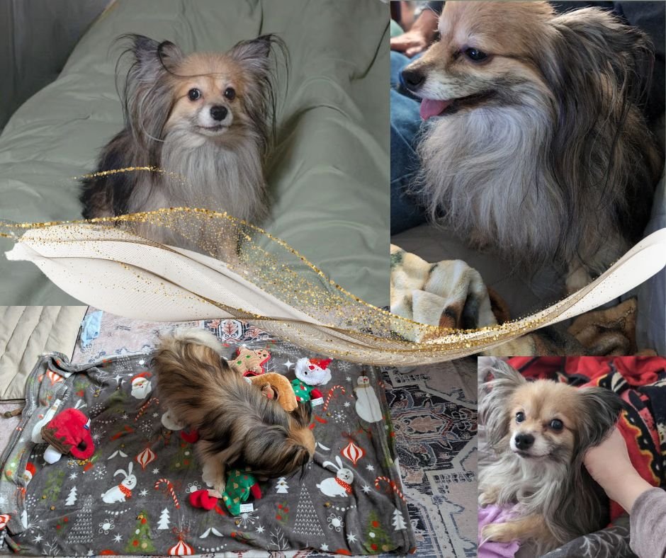 les bons et les mauvais jours