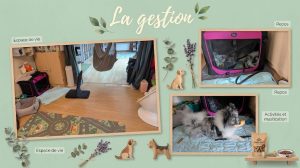 La gestion de Cassian