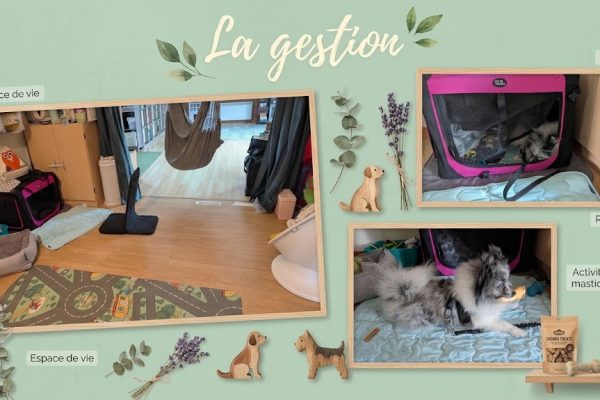 La gestion de Cassian