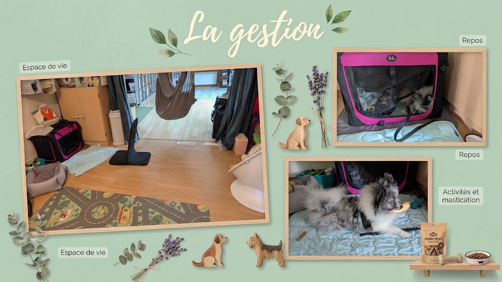 La gestion de Cassian
